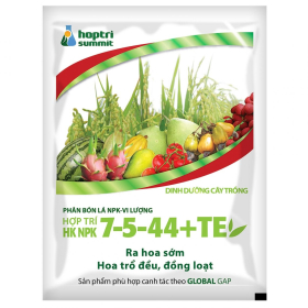 HK NPK 7-5-44+TE HỢP TRÍ