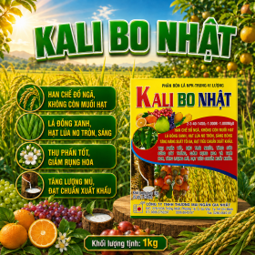 Phan bón lá KALI BO NHẬT 1kg (NGN)
