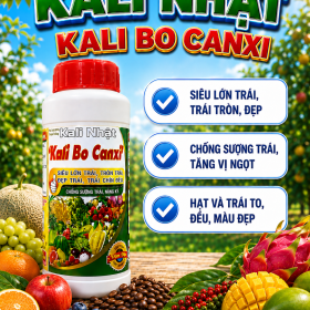 Phân bón KALI NHẬT - Kali Bo Canxi (NCP)