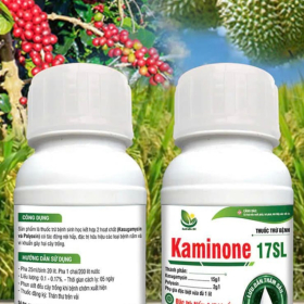 THUỐC TRỪ BỆNH KAMINONE 17SL