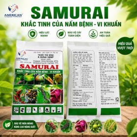 THUỐC TRỪ BỆNH K.SUSAI 50WP SAMURAI 