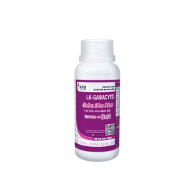 LK-GABACYTO(GA3 SỮA) APN