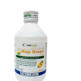 MAP GREEN