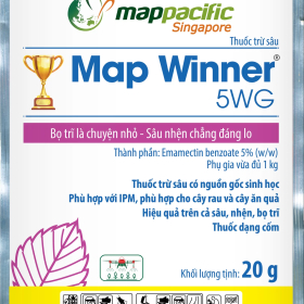 Map Winner 5WG