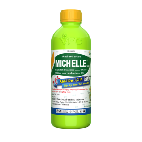 MICHELLE 62EC 1.2L VFC