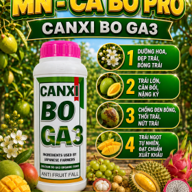 MN-CA BO PRO CANXI BO GA3 (NGN)