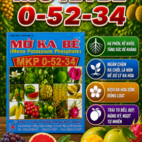 Phân bón MKP 0-52-34 (NGN)