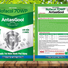 THUỐC TRỪ BỆNH NOFACOL 70WP Hiệu AntasGool