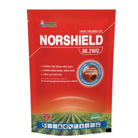 NORSHIELD HỢP TRÍ