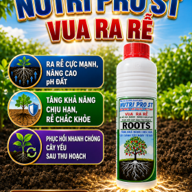 NUTRI PRO ST - VUA RA RỄ (NCP)