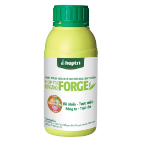ORGANO FORGE HỢP TRÍ