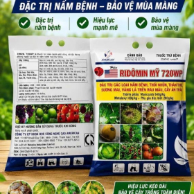 THUỐC TRỪ BỆNH ZIMVIL 720WP Hiệu RIDÔMIN MỸ 720WP