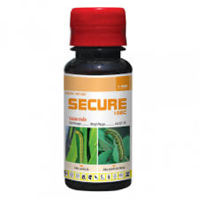 SECURE HỢP TRÍ