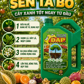 Phân bón SEN TA BO DAP (NGN)