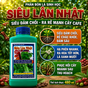 Phân bón lá Siêu Lân nhật Ra rễ mạnh cây Cà phê (NGN)
