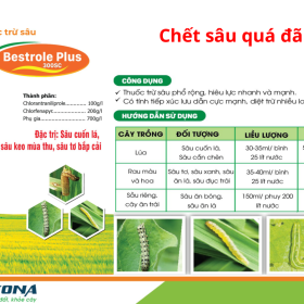 THUỐC TRỪ SÂU BESTROLE PLUS 300SC KONA