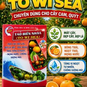 Phân bón lá TO WI SEA Tảo biển Nhật cho Cây CAM QUÝT (NGN)