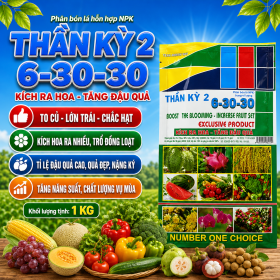 Phân bón lá NPK THẦN KỲ 2 (6-30-30)