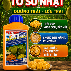 Phân bón TO SU NHẬT Siêu Dưỡng trái-lớn trái Mít (NGN)