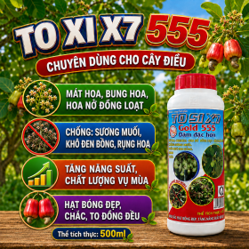 Phân bón TO XI X7 Gold 555 dùng cho cây Điều (NCP)