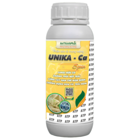UNIKA-CA