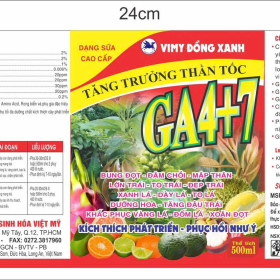 VIMY ĐỒNG XANH GA4+7 500ML