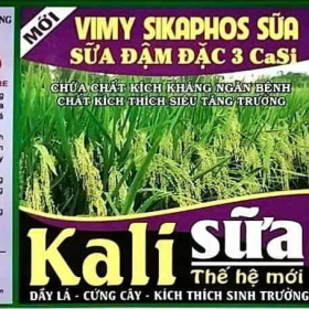 VIMY SIKAPHOS SỮA 500ML