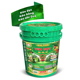 BIG ONE VUA ĐỌT 3 TỐT