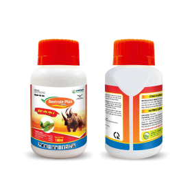 BESTROLE PLUS