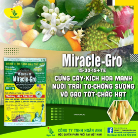 MIRACLE - GRO 15-30-15+TE