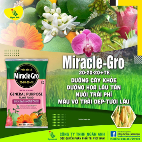 MIRACLE - GRO 20-20-20+TE