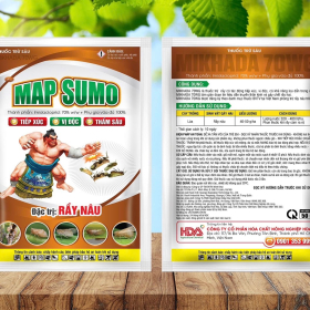 MAP SUMO