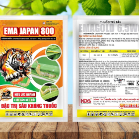 EMA JAPAN 800