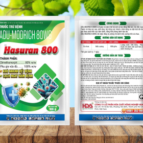 HASURAN 800