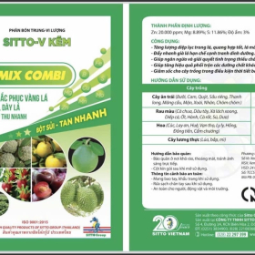 SITTO MIX COMBI 100G 