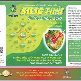 SILIC THÁI 500ML SITTO