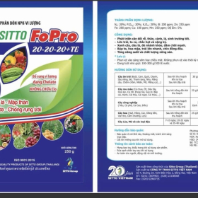 SITTO FOPRO 20 - 20  - 20 + TE NPK 250G 