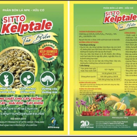 SITTO KELPTALE HỮU CƠ 100G SITTO