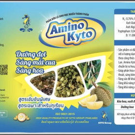 AMINO KYTO ISO 1L SITTO