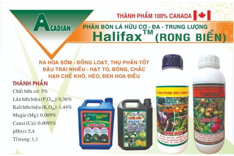 Halifax™ (Rong Biển) HỮU CƠ - ĐA - TRUNG LƯỢNG BOLY