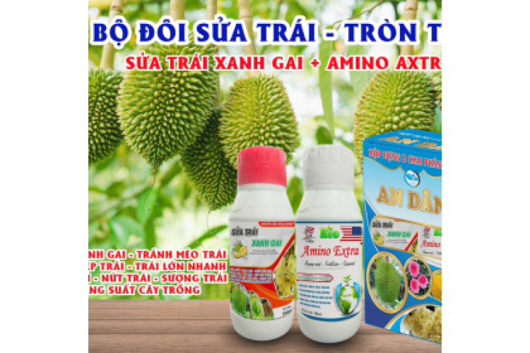 BO ĐÔI SỬA TRÁI - TRÒN TRÁI ( SỬA TRÁI XANH GAI - AMNO AXTRA) AN DÂN