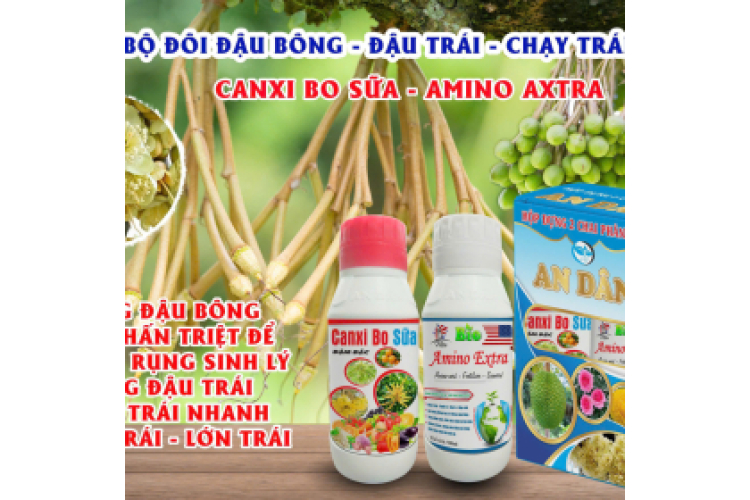 BỘ ĐÔI ĐẬU BÔNG - ĐẬU TRÁI - CHẠY TRÁI NHANH AN DÂN