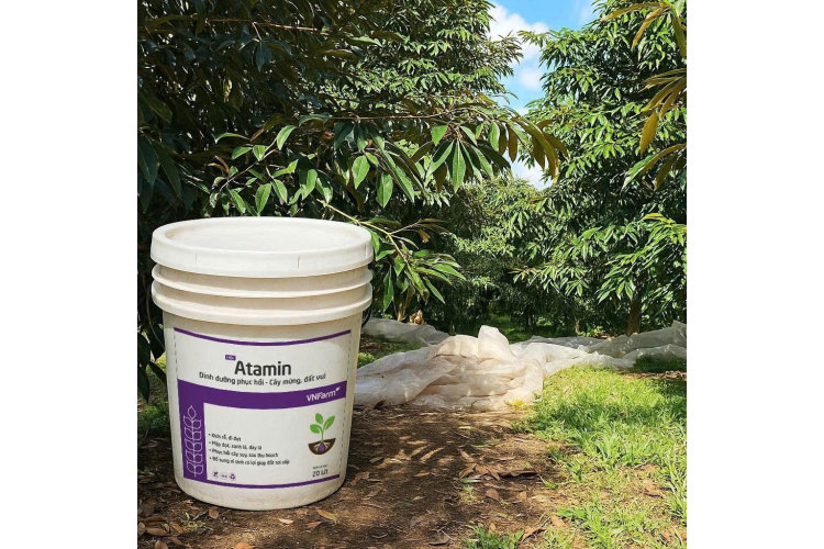 ATAMIN 20L VNFARM
