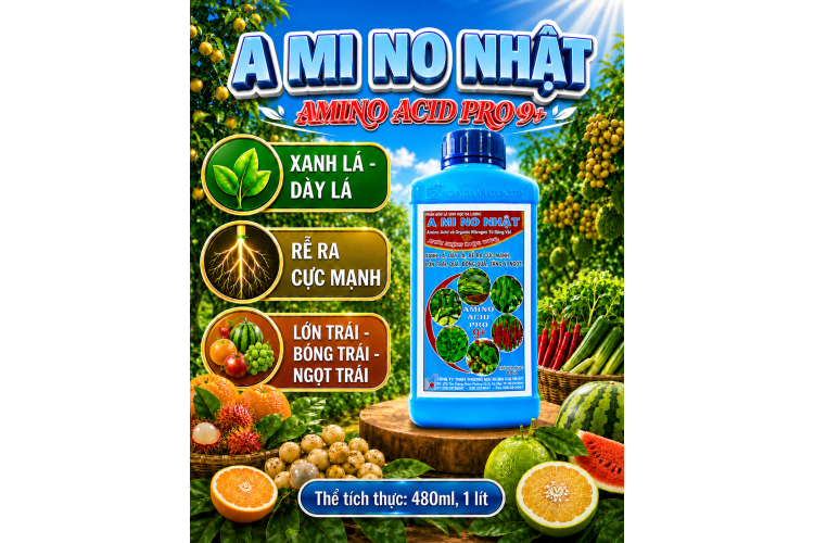 Phân bón lá A MI NO NHẬT - AMINO ACID PRO 9+