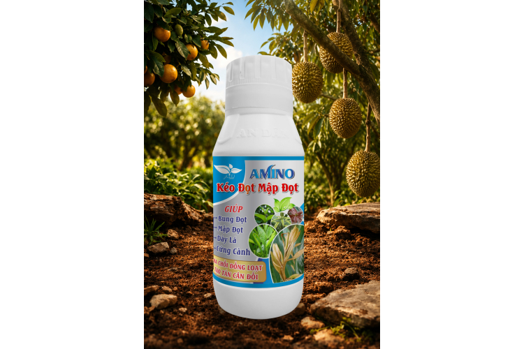 AMINO - KÉO ĐỌT MẬP ĐỌT 500ML AN DÂN