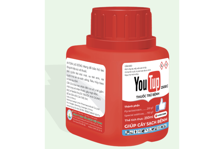 THUỐC TRỪ BỆNH YOUTUP 250EC
