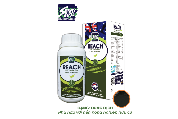 PHÂN BÓN LÁ REACH - CHAI 250ML 