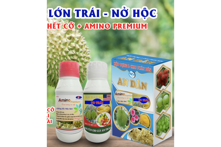 BỘ ĐÔI TO TRÁI + AMINO PREMIUM AN DÂN 