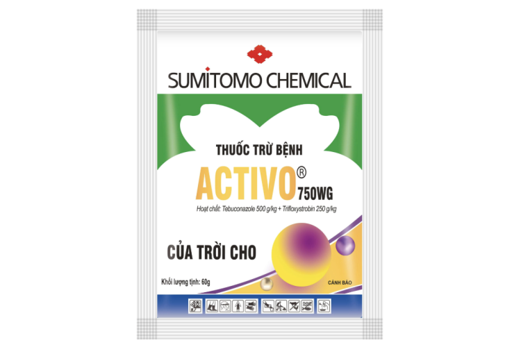 THUỐC TRỪ BỆNH ACTIVO 750WG