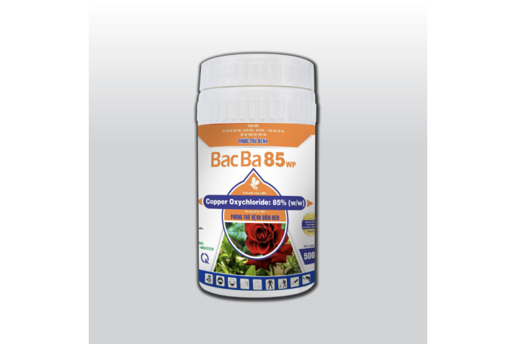 Thuốc trừ bệnh BACBA 85WP Hộp 500g 